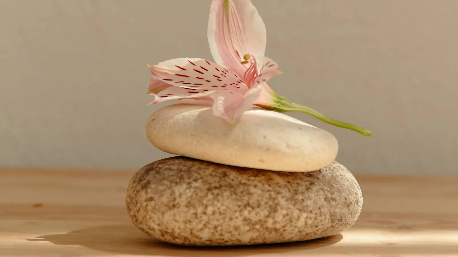 Calm natural setting representing online wellness counselling in South Africa